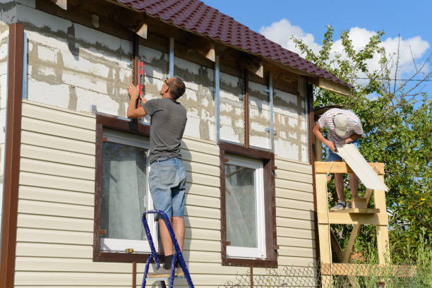 Best Stone Veneer Siding  in South Beloit, IL