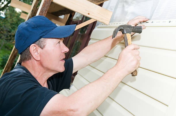 Best Vinyl Siding Installation  in South Beloit, IL