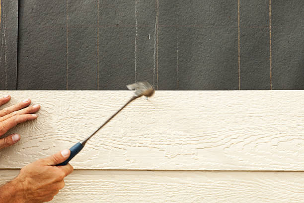 Best Insulated Siding Installation  in South Beloit, IL